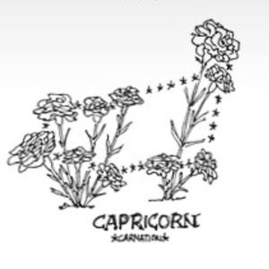 Meet your Posher, Leone